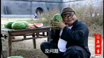 号头庄吃瓜视频,揭秘网络热点背后的真相