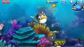 大鱼吃瓜娱乐,揭秘娱乐圈幕后故事