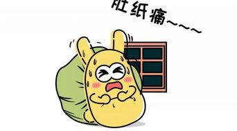 吃瓜群众免费图片,带你领略趣味瞬间