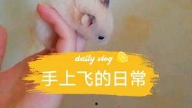 小说吃瓜背景板